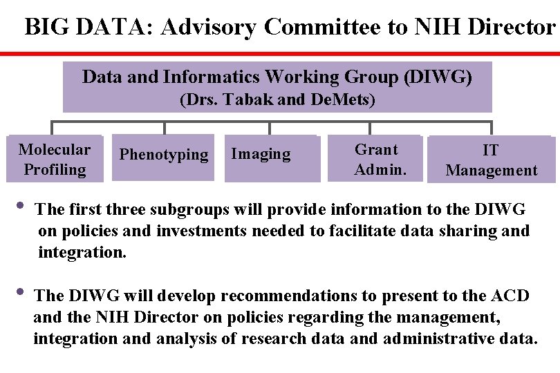 BIG DATA: Advisory Committee to NIH Director Data and Informatics Working Group (DIWG) (Drs.