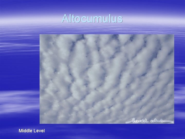 Altocumulus Middle Level 