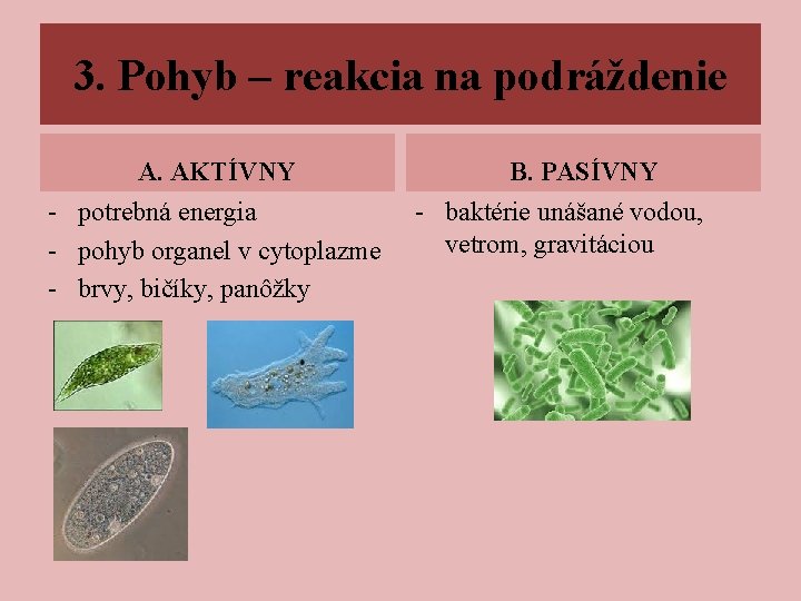 3. Pohyb – reakcia na podráždenie A. AKTÍVNY - potrebná energia - pohyb organel