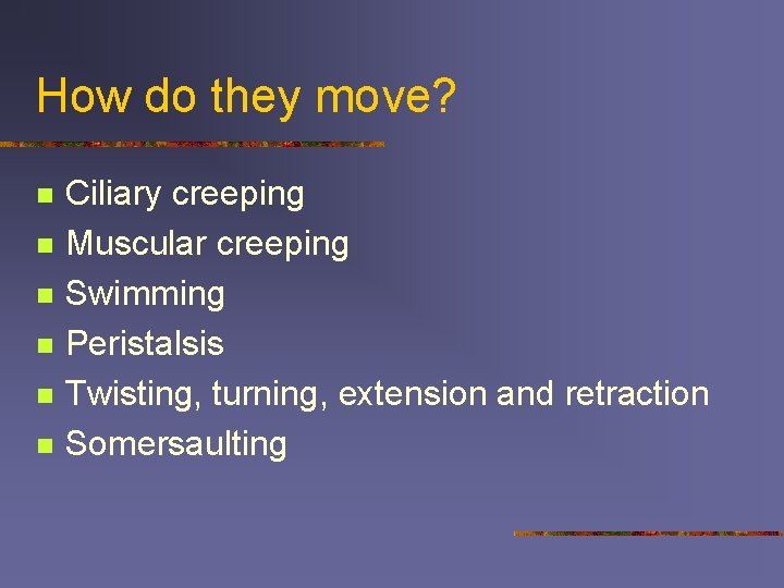 How do they move? n n n Ciliary creeping Muscular creeping Swimming Peristalsis Twisting,