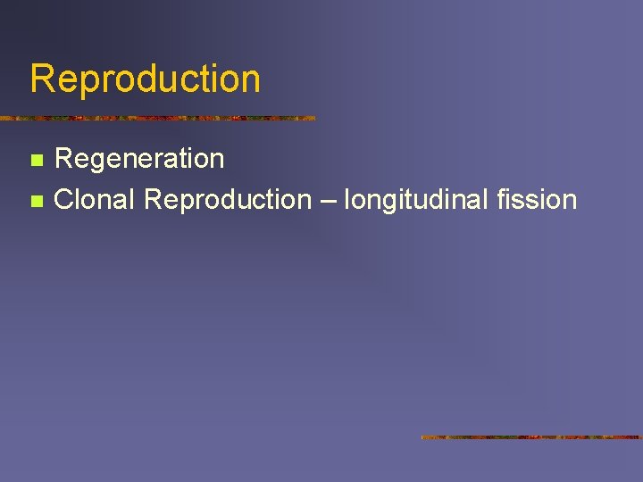 Reproduction n n Regeneration Clonal Reproduction – longitudinal fission 