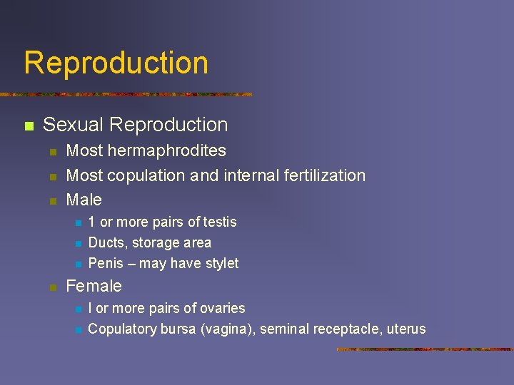 Reproduction n Sexual Reproduction n Most hermaphrodites Most copulation and internal fertilization Male n