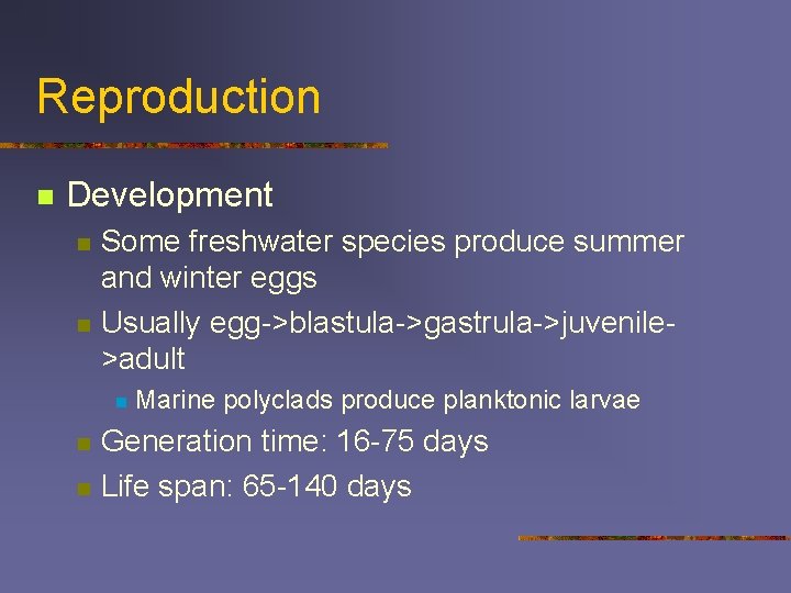 Reproduction n Development n n Some freshwater species produce summer and winter eggs Usually