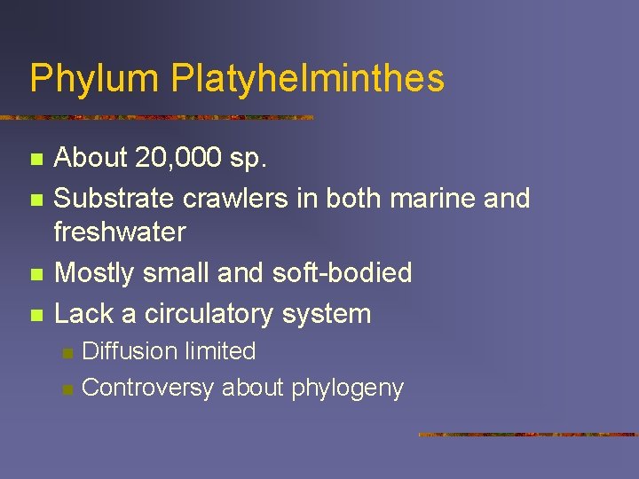 Phylum Platyhelminthes n n About 20, 000 sp. Substrate crawlers in both marine and