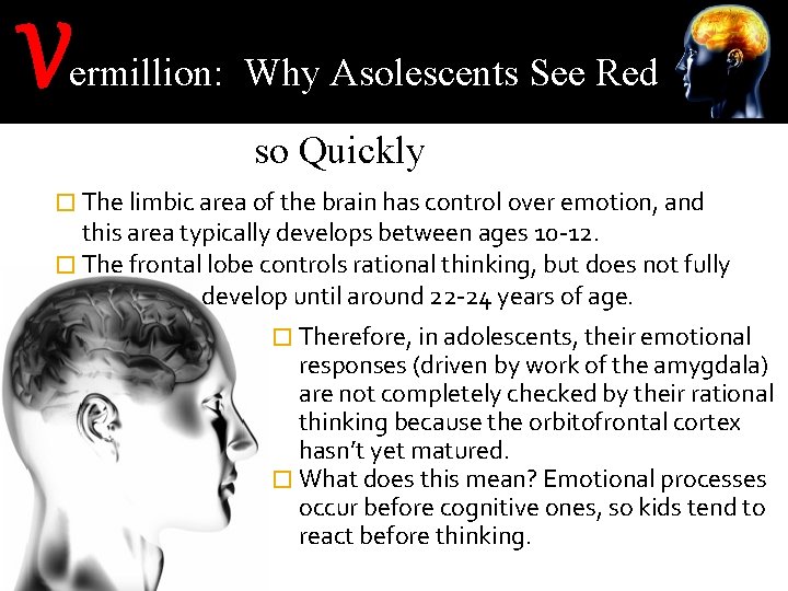 V ermillion: Why Asolescents See Red so Quickly � The limbic area of the