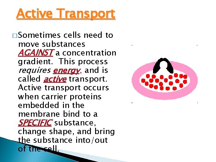 Active Transport � Sometimes cells need to move substances AGAINST a concentration gradient. This