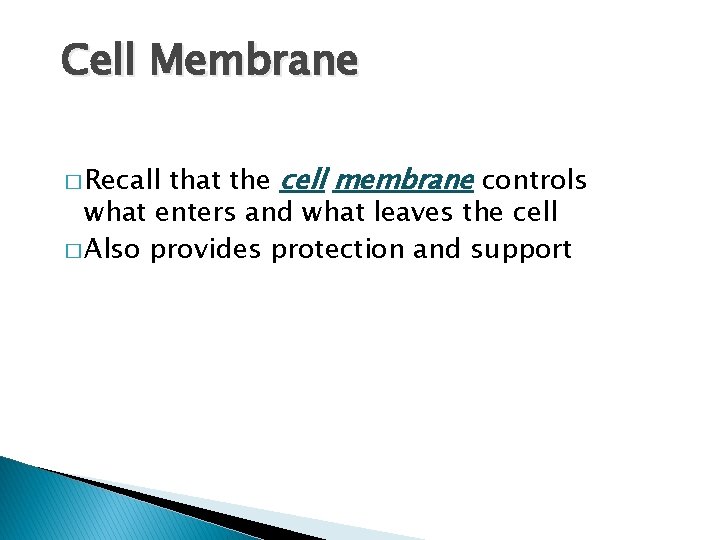 Cell Membrane that the cell membrane controls what enters and what leaves the cell