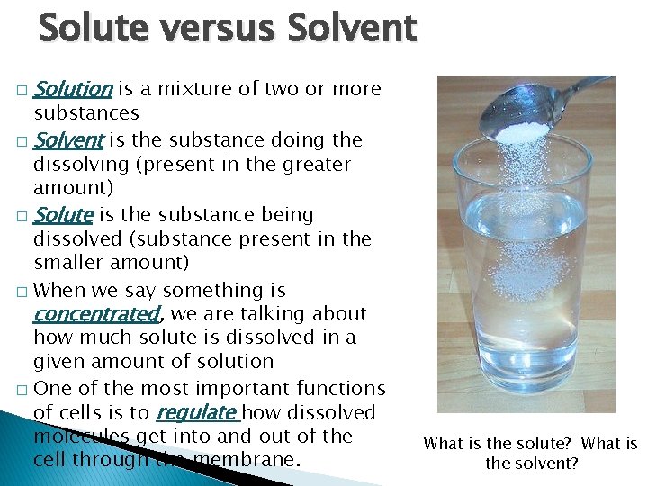 Solute versus Solvent � Solution is a mixture of two or more substances �