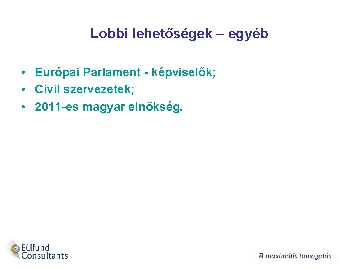 Lobbi lehetőségek – egyéb • Európai Parlament - képviselők; • Civil szervezetek; • 2011