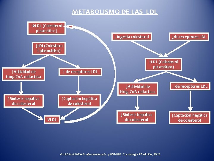 METABOLISMO DE LAS LDL (Colesterol plasmático) ↓de receptores LDL ↑Ingesta colesterol ↓LDL(Colestero l plasmático)