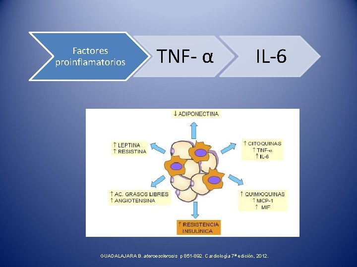 Factores proinflamatorios TNF- α IL-6 GUADALAJARA B. ateroesclerosis p 851 -892. Cardiología 7ª edición,