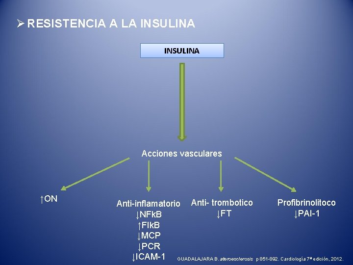 Ø RESISTENCIA A LA INSULINA Acciones vasculares ↑ON Profibrinolitoco Anti-inflamatorio Anti- trombotico ↓FT ↓PAI-1