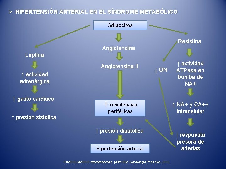 Ø HIPERTENSIÓN ARTERIAL EN EL SÍNDROME METABÓLICO Adipocitos Resistina Angiotensina Leptina Angiotensina II ↑