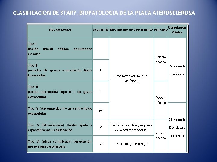 CLASIFICACIÓN DE STARY. BIOPATOLOGÍA DE LA PLACA ATEROSCLEROSA 