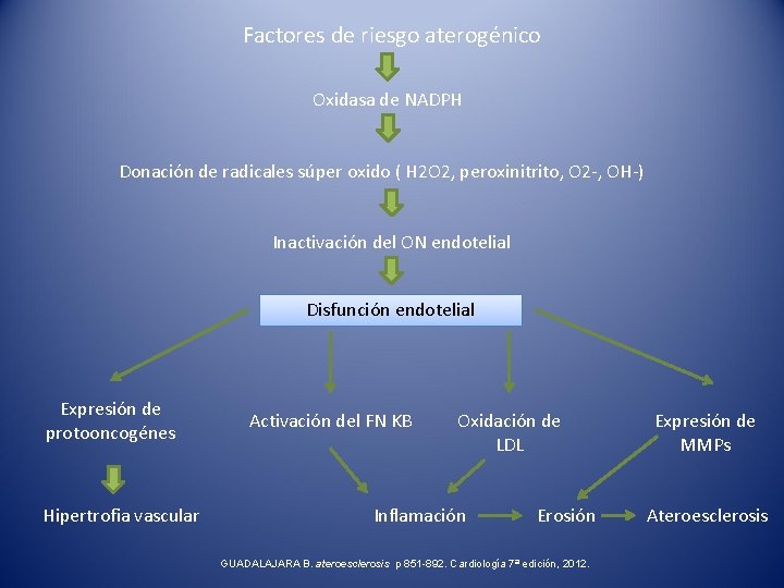 Factores de riesgo aterogénico Oxidasa de NADPH Donación de radicales súper oxido ( H