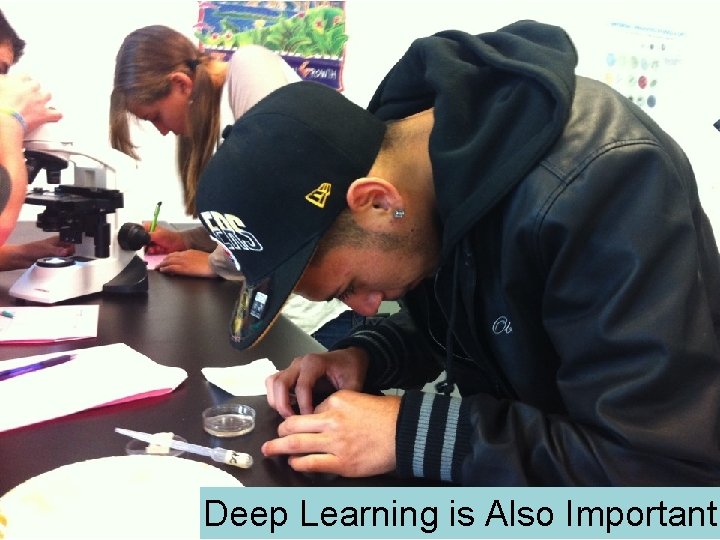 Deep Learning is Also Important 