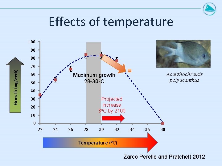 Effects of temperature 100 90 80 Growth (mg/week) 70 60 Acanthochromis polyacanthus Maximum growth