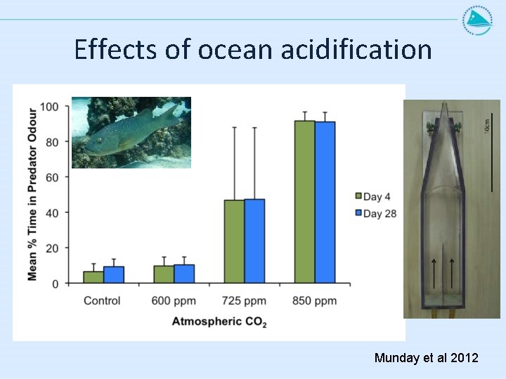 Effects of ocean acidification Munday et al 2012 