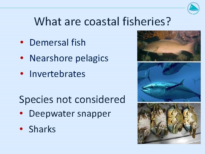 What are coastal fisheries? • Demersal fish • Nearshore pelagics • Invertebrates Species not