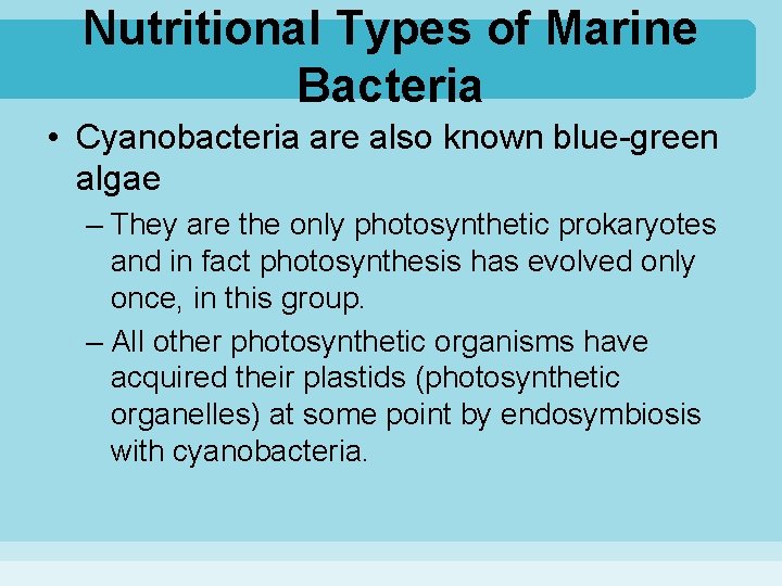 Nutritional Types of Marine Bacteria • Cyanobacteria are also known blue-green algae – They