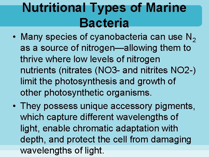 Nutritional Types of Marine Bacteria • Many species of cyanobacteria can use N 2