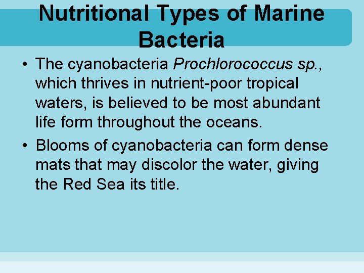 Nutritional Types of Marine Bacteria • The cyanobacteria Prochlorococcus sp. , which thrives in