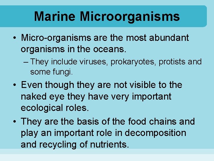 Marine Microorganisms • Micro-organisms are the most abundant organisms in the oceans. – They