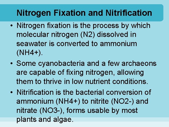 Nitrogen Fixation and Nitrification • Nitrogen fixation is the process by which molecular nitrogen