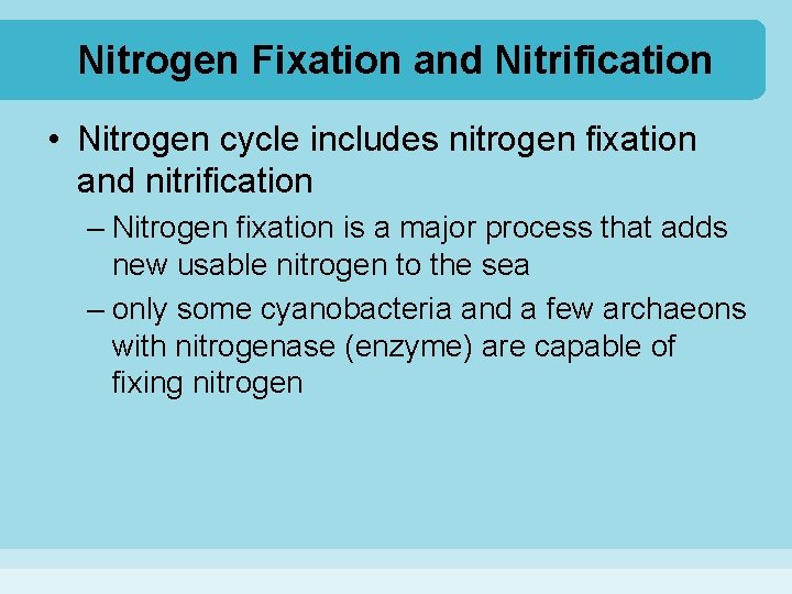 Nitrogen Fixation and Nitrification • Nitrogen cycle includes nitrogen fixation and nitrification – Nitrogen