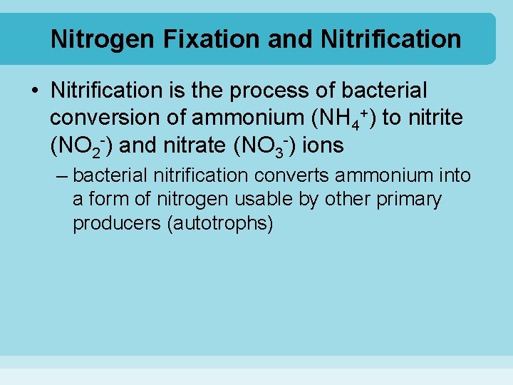 Nitrogen Fixation and Nitrification • Nitrification is the process of bacterial conversion of ammonium