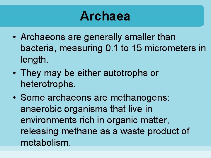 Archaea • Archaeons are generally smaller than bacteria, measuring 0. 1 to 15 micrometers
