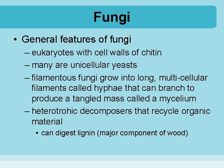 Fungi • General features of fungi – eukaryotes with cell walls of chitin –