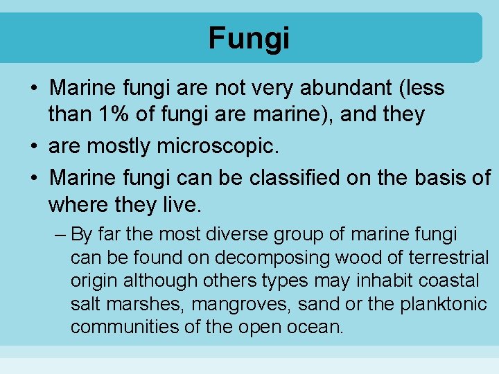Fungi • Marine fungi are not very abundant (less than 1% of fungi are