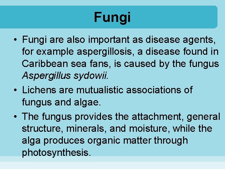 Fungi • Fungi are also important as disease agents, for example aspergillosis, a disease