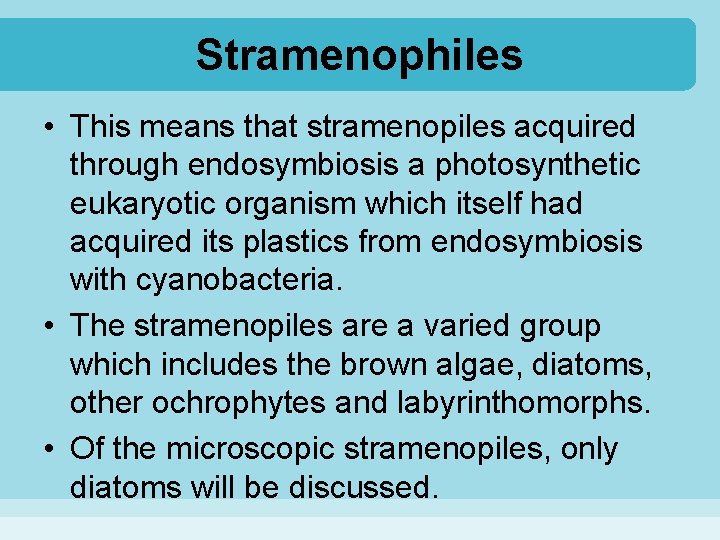 Stramenophiles • This means that stramenopiles acquired through endosymbiosis a photosynthetic eukaryotic organism which