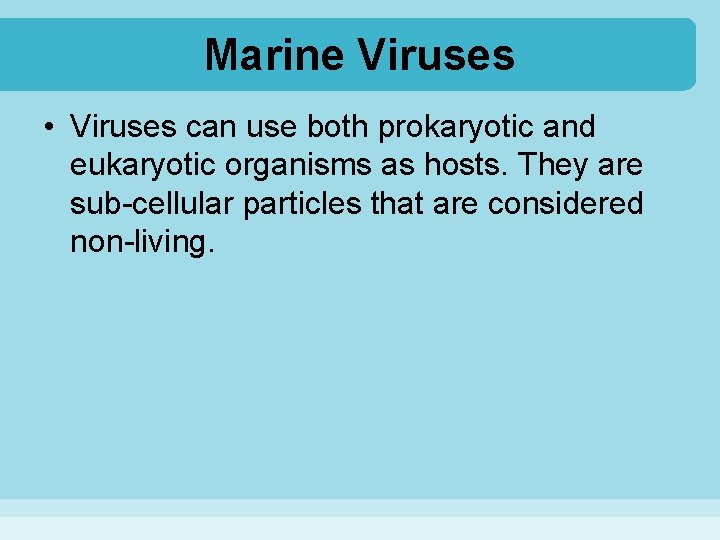 Marine Viruses • Viruses can use both prokaryotic and eukaryotic organisms as hosts. They