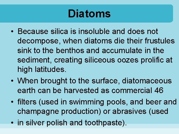 Diatoms • Because silica is insoluble and does not decompose, when diatoms die their