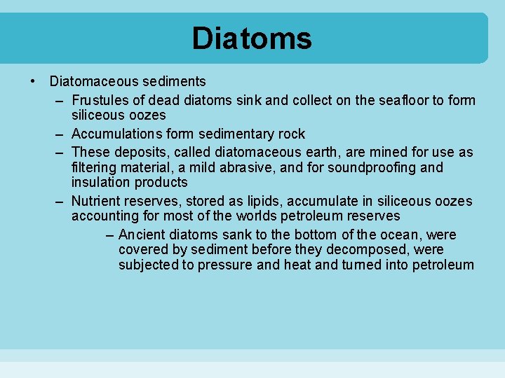 Diatoms • Diatomaceous sediments – Frustules of dead diatoms sink and collect on the