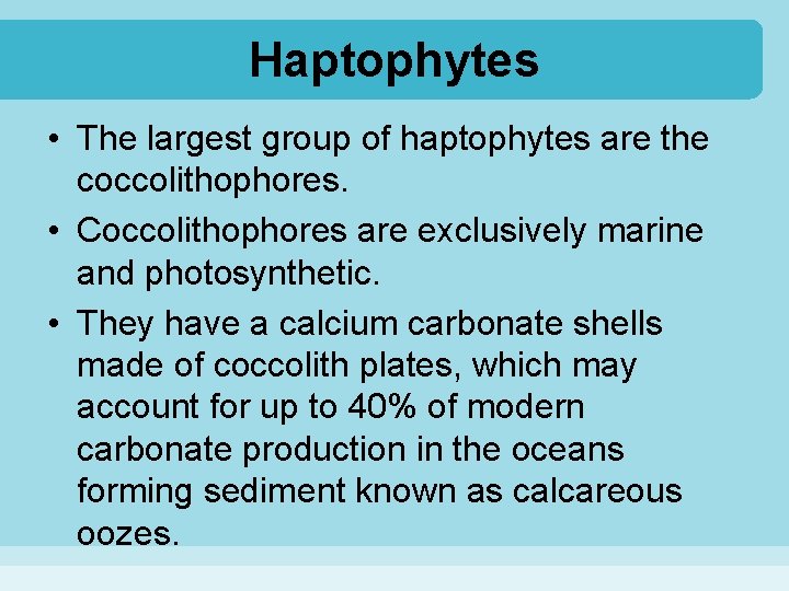 Haptophytes • The largest group of haptophytes are the coccolithophores. • Coccolithophores are exclusively