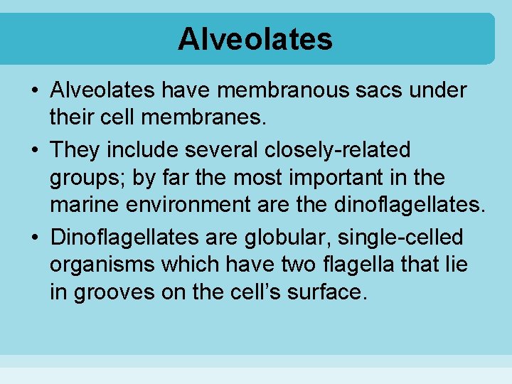 Alveolates • Alveolates have membranous sacs under their cell membranes. • They include several