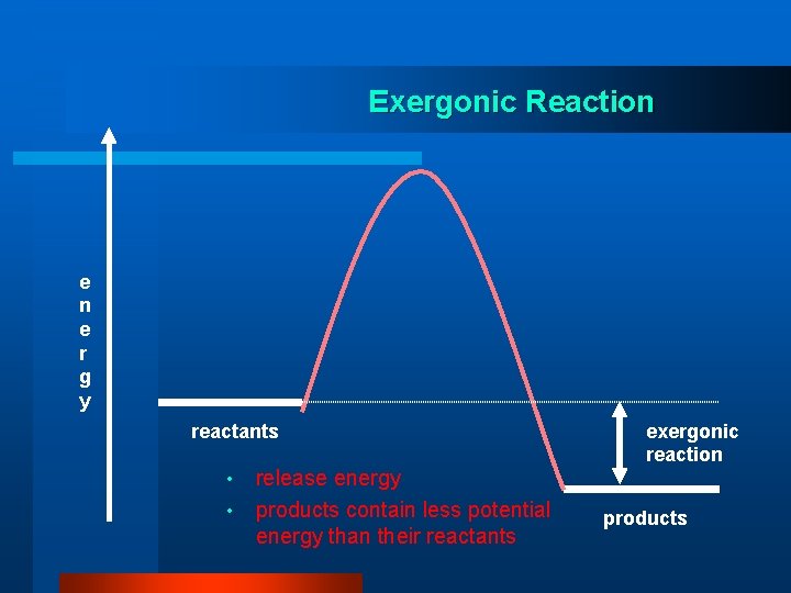 Exergonic Reaction e r g y reactants • • release energy products contain less