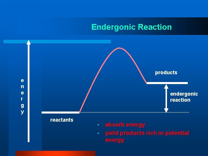 Endergonic Reaction products e n e r g y endergonic reaction reactants • •