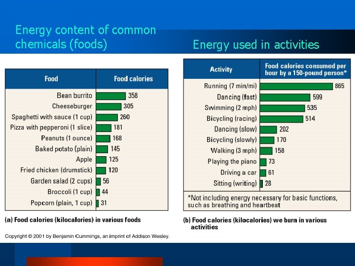 Energy content of common chemicals (foods) Energy used in activities 