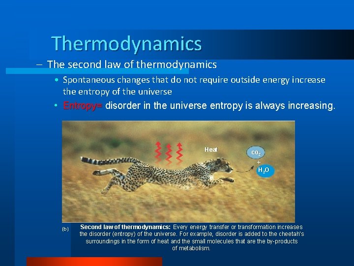 Thermodynamics – The second law of thermodynamics • Spontaneous changes that do not require