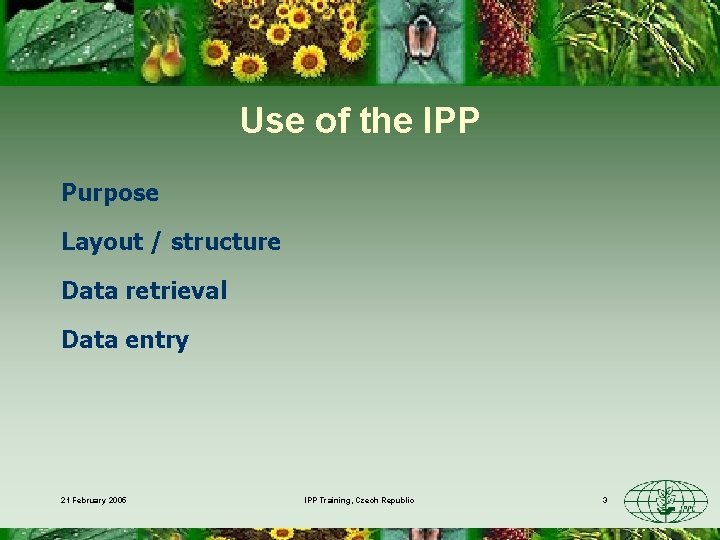 Use of the IPP Purpose Layout / structure Data retrieval Data entry 21 February