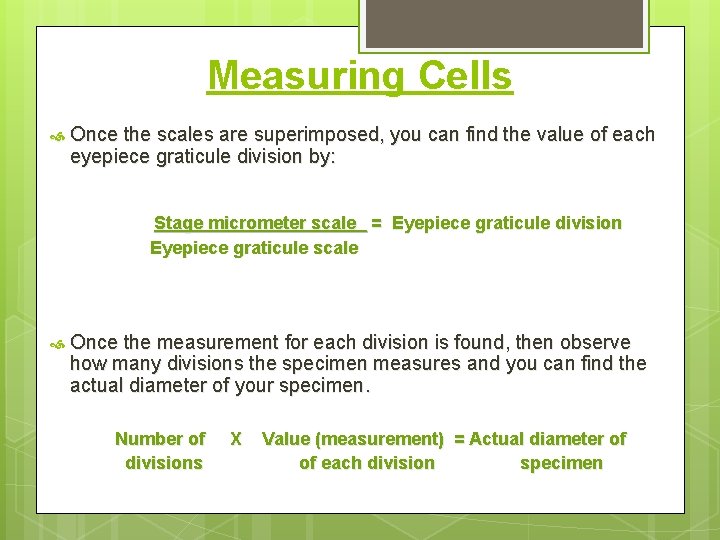 Measuring Cells Once the scales are superimposed, you can find the value of each