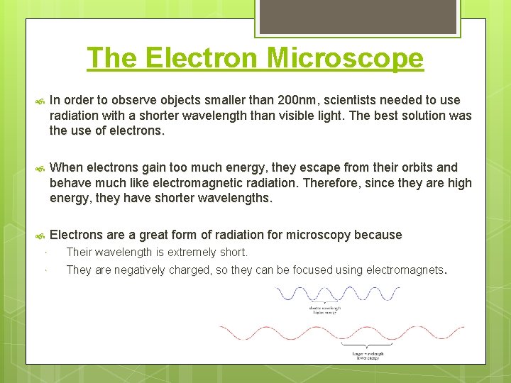 The Electron Microscope In order to observe objects smaller than 200 nm, scientists needed