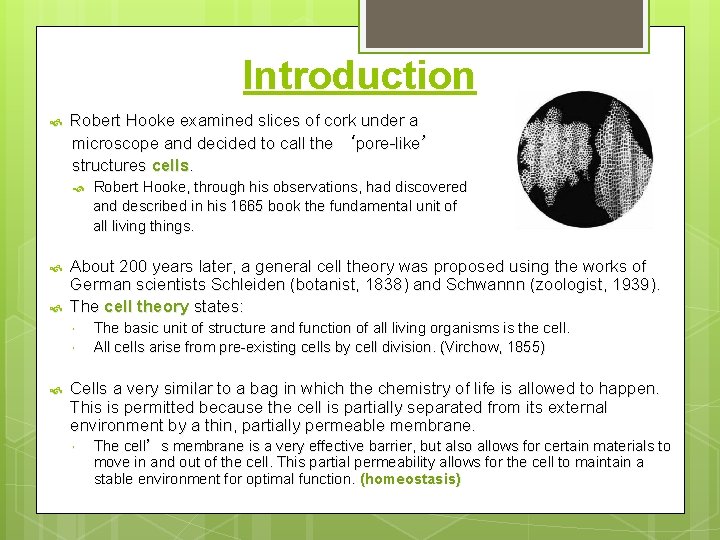 Introduction Robert Hooke examined slices of cork under a microscope and decided to call
