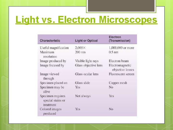 Light vs. Electron Microscopes 