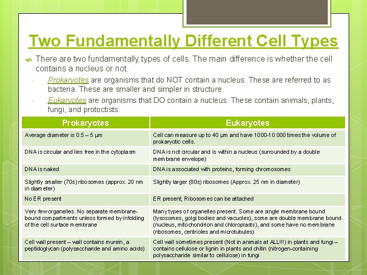 Two Fundamentally Different Cell Types There are two fundamentally types of cells. The main